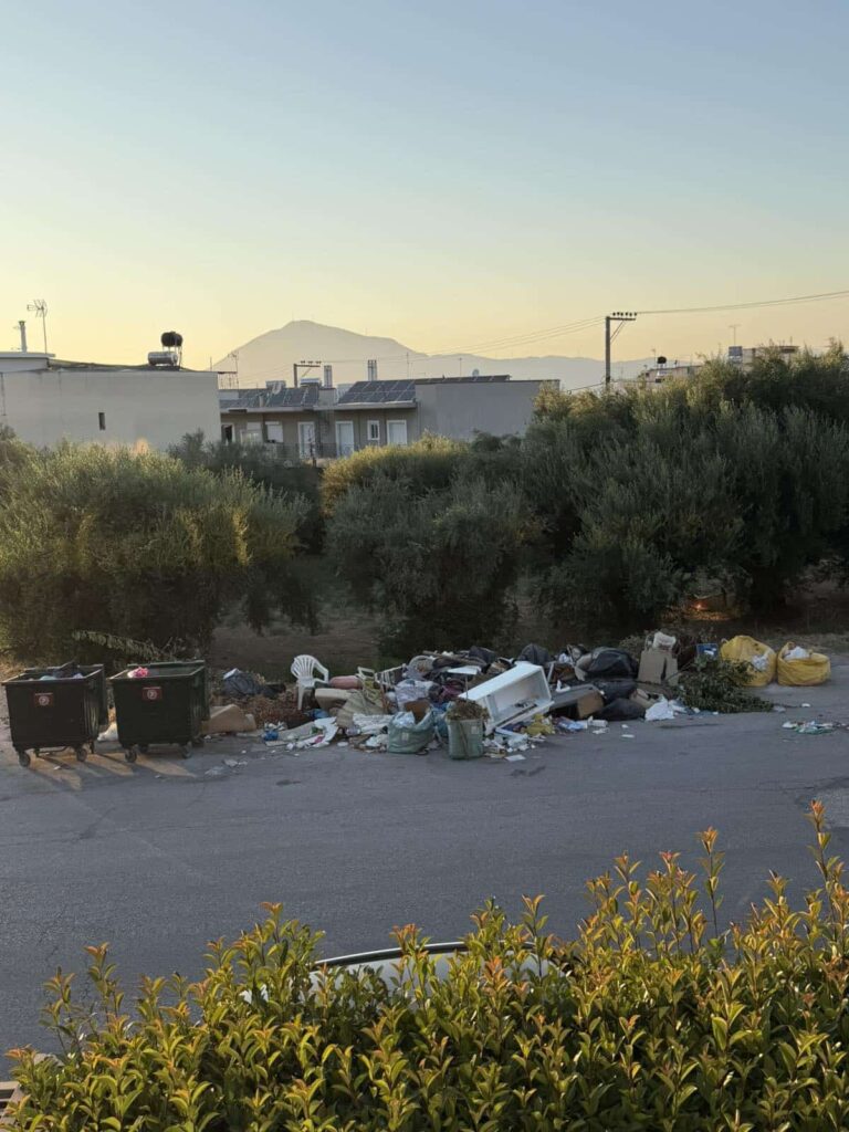 συχαινα σκουπιδια