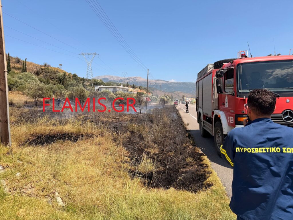 φωτιά στον Πλατανίτη Ναυπακτίας